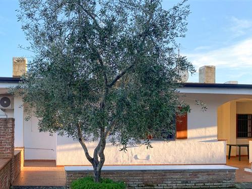 Fritidshus - 22 personer -  - Strada Provinciale - 71019 - Vieste