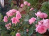 Bild 11 - Aussen