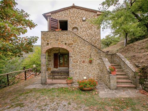 Feriehus / leilighet - 14 personer -  - 52044 - Cortona