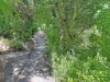 Bild 23 - Ude