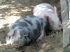 Bild 22