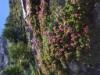 Image 9 - Outside