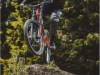 Billede 39