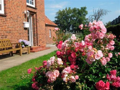 Sommerhus - 6 personer -  - Strukkamp - 23769 - Fehmarn Ot Strukkamp