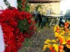 Bild 19