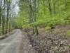 Bild 18