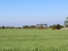 Image 14