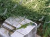 Bild 32 - Ude