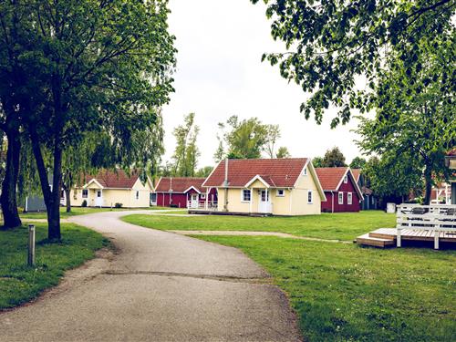 Semesterhus/Semesterlägenhet - 2 personer -  - Ostseeallee - 23946 - Ostseebad Boltenhagen