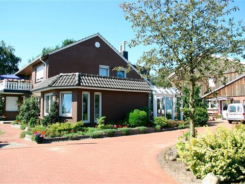 Ferieleilighet - 2 personer -  - Neuer Kamp - 49740 - Haselünne