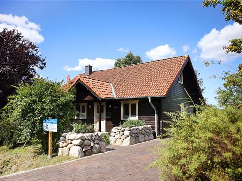 Feriehus - 4 personer -  - Dorfstr. - 25764 - Hellschen-Heringsand-Unte