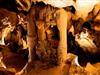 Bild 33
