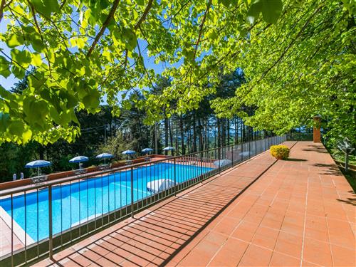 Ferielejlighed - 5 personer -  - Montaione - 50050