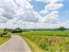 Afbeelding 36