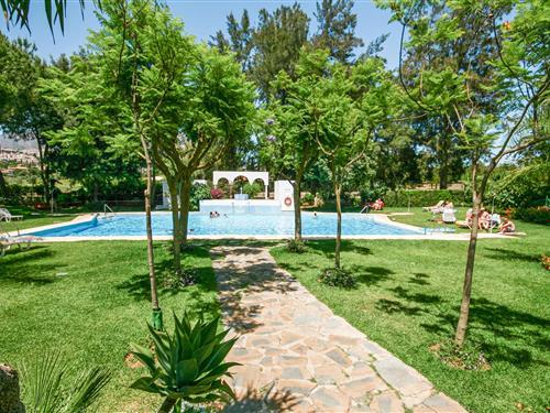 Holiday apartment - 2 persons -  - Hoyo 16, Ctra de Coin, Casa - 29650 - Mijas Costa