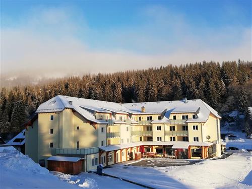 Feriehus / leilighet - 4 personer -  - Passhöhe - 79868 - Feldberg