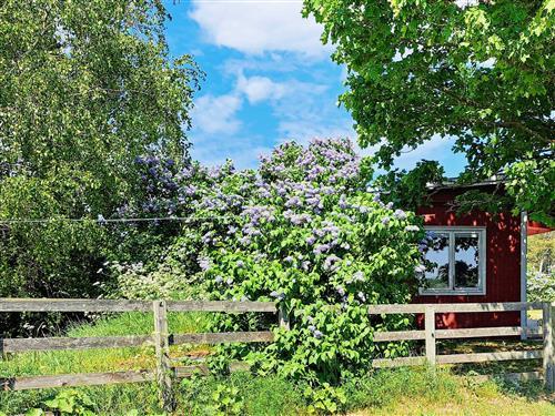 Holiday Home/Apartment - 4 persons -  - Västergarn Ammor - Gotlands Tofta - 62230 - Gotlands.Tofta