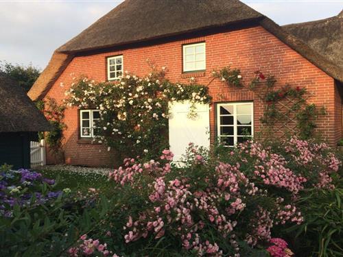 Sommerhus - 6 personer -  - 25938 - Midlum