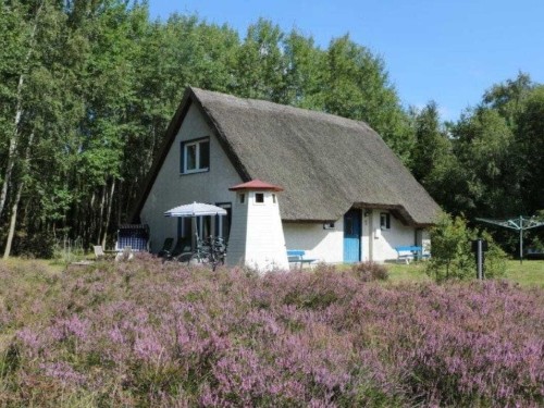 Ferienhaus - 6 Personen -  - 18565 - Insel Hiddensee