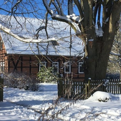 Billede 4