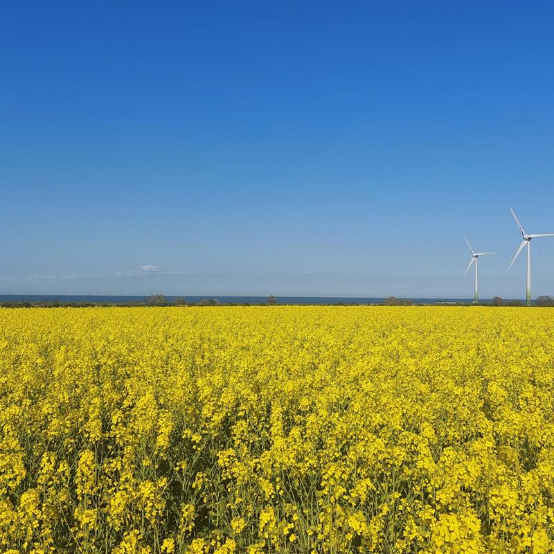 Ferielejlighed - 2 personer -  - Presen - 23769 - Fehmarn Ot Presen