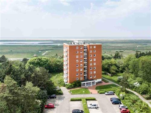 Holiday Home/Apartment - 2 persons -  - Fritz-Wischer-Straße - 25826 - St. Peter-Ording