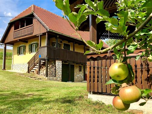 Holiday home - 4 persons -  - Banjsko Selo - 47250 - Duga Resa