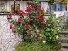 Bild 17 - Aussen
