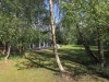 Image 7 - View
