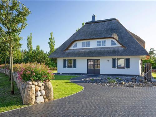 Sommerhus - 8 personer -  - 18356 - Fuhlendorf