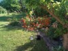 Bilde 4