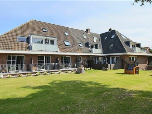 Feriehus / leilighet - 4 personer -  - Nei Stich - 25946 - Norddorf