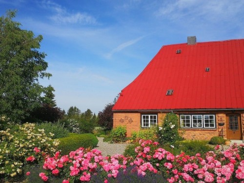 Ferienhaus - 6 Personen -  - 23714 - Malente-Neukirchen