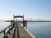 Billede 18