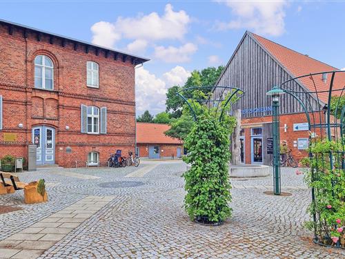 Ferielejlighed - 5 personer -  - Stettiner Straße - 17367 - Eggesin