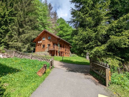 Holiday home - 12 persons -  - 98666 - Fehrenbach