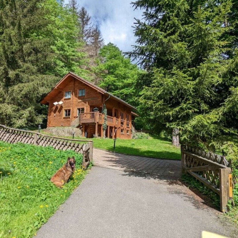 Sommerhus - 12 personer -  - 98666 - Fehrenbach