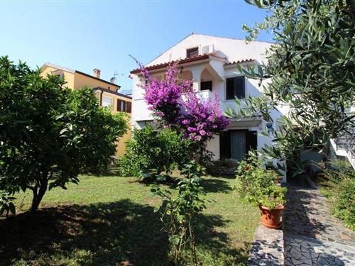 Holiday Home/Apartment - 4 persons -  - Veli Joze - 52440 - Porec