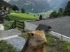 Bild 20 - Ude