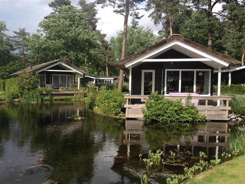 Chalet - 4 personer -  - 7475SL - Markelo