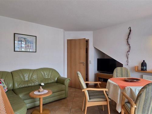 Semesterlägenhet - 3 personer -  - Möwenweg - 18181 - Graal-Müritz