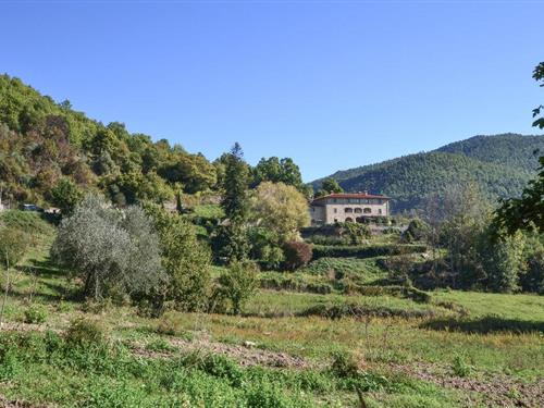 Ferielejlighed - 4 personer -  - Piano di Ventrina - 52011 - Bibbiena