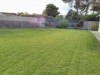 Billede 10