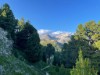 Bilde 2 - Ude
