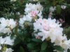 Bild 32