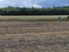 Bilde 28
