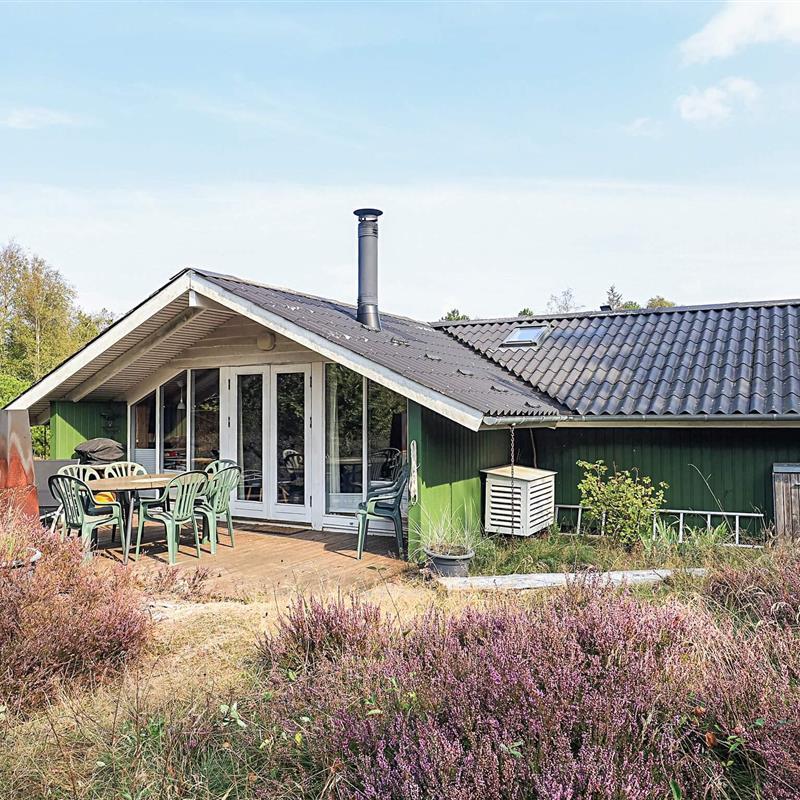 Ferienhaus - 6 Personen -  - Musvågevej - Lodskovvad - 9982 - Aalbæk