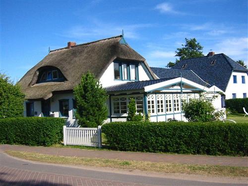 Ferieleilighet - 4 personer -  - Grüne Straße - 18375 - Prerow