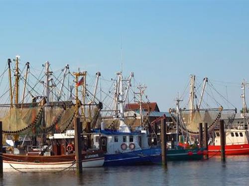 Ferielejlighed - 3 personer -  - Am Hafen - 26969 - Fedderwardersiel