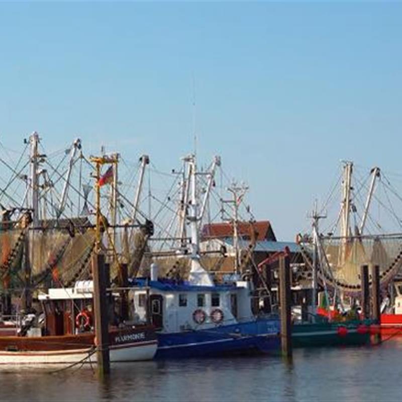 Ferielejlighed - 3 personer -  - Am Hafen - 26969 - Fedderwardersiel